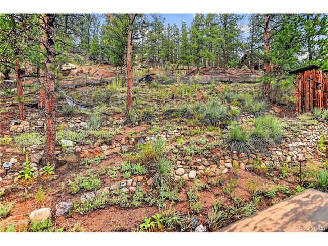 27403 Schuyler Gulch Rd, Pine, CO 80470