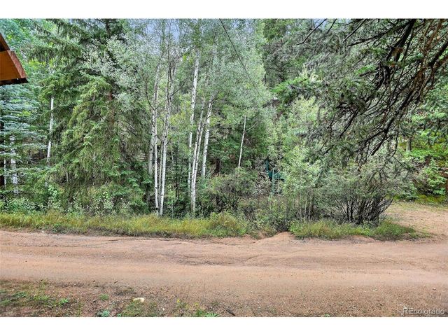 27403 Schuyler Gulch Rd, Pine, CO 80470