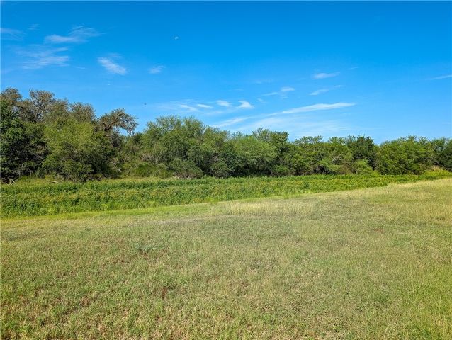 155 Buffalo Road, George West, TX 78022