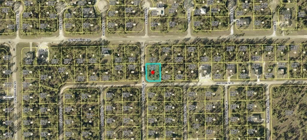 1223 Racoon ST E, LEHIGH ACRES, FL 33974 — exterior