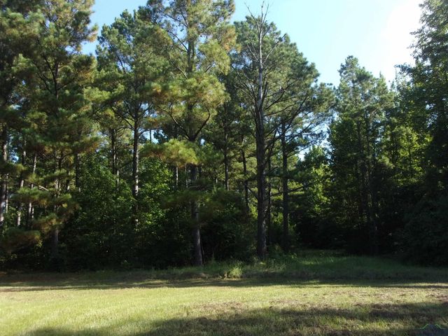 20 CR 1766 Cut Off Rd., Jefferson, TX 75657