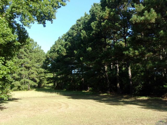 20 CR 1766 Cut Off Rd., Jefferson, TX 75657