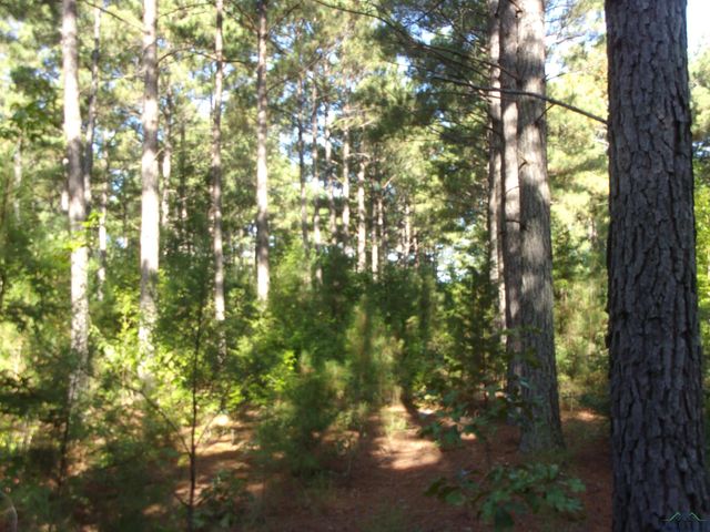 20 CR 1766 Cut Off Rd., Jefferson, TX 75657