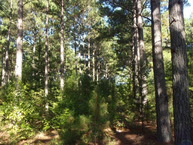 20 CR 1766 Cut Off Rd., Jefferson, TX 75657