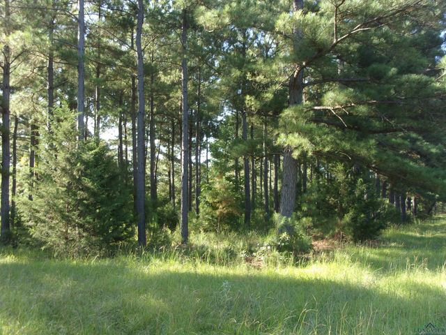 20 CR 1766 Cut Off Rd., Jefferson, TX 75657