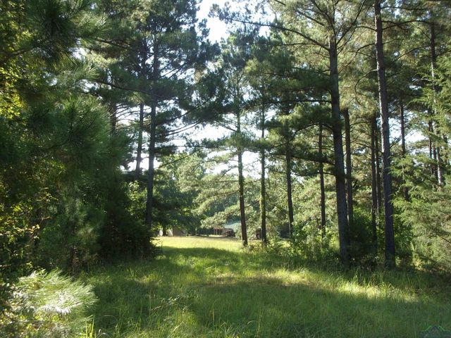 20 CR 1766 Cut Off Rd., Jefferson, TX 75657