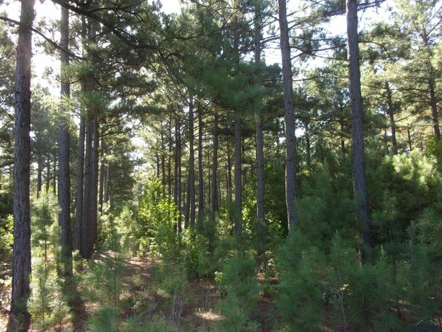 20 CR 1766 Cut Off Rd., Jefferson, TX 75657