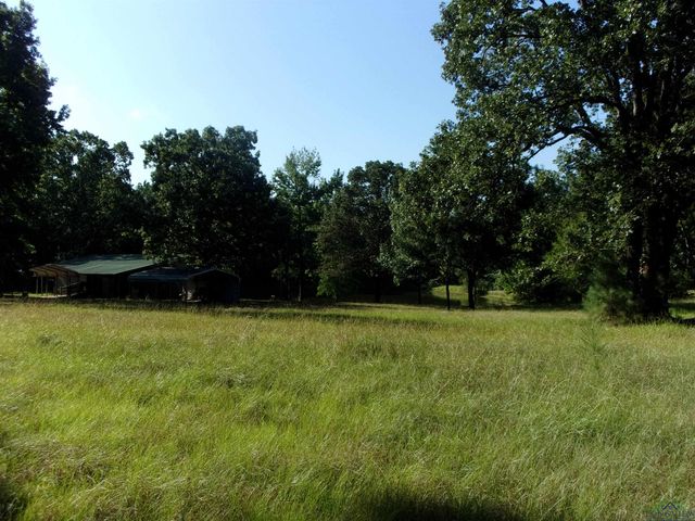 20 CR 1766 Cut Off Rd., Jefferson, TX 75657