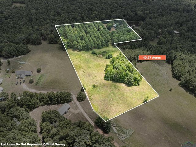 20 CR 1766 Cut Off Rd., Jefferson, TX 75657