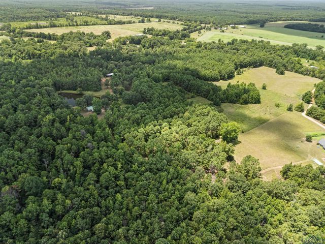 20 CR 1766 Cut Off Rd., Jefferson, TX 75657