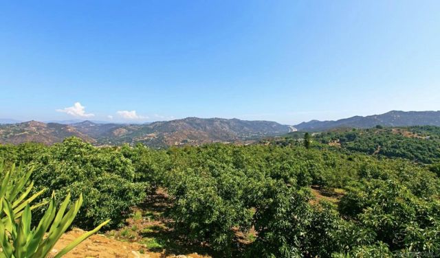 1629 Wild Acres, Vista, CA 92084