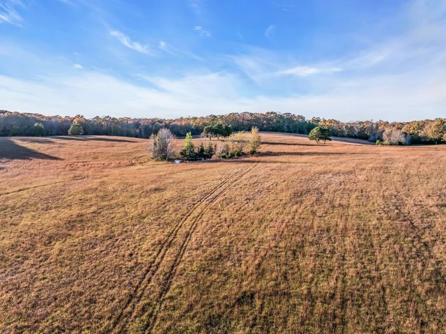 0 Wilson Hollow Road, Mc Ewen, TN 37101