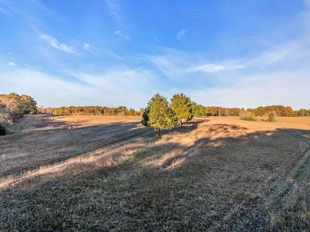 0 Wilson Hollow Road, Mc Ewen, TN 37101