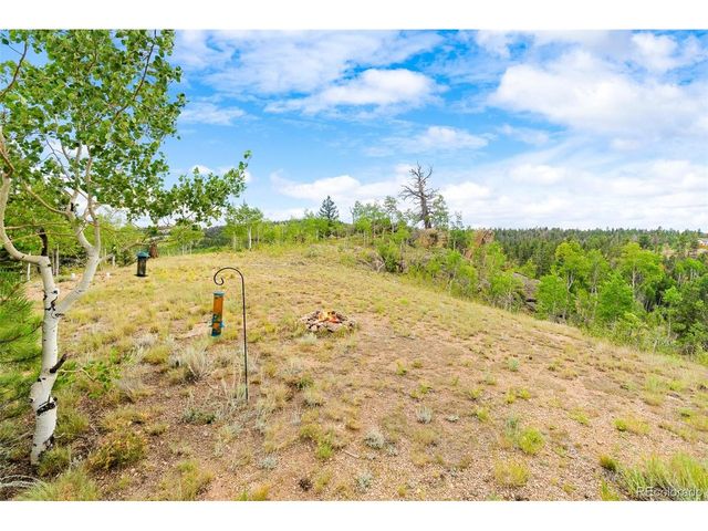 65 Riata Run, Hartsel, CO 80449