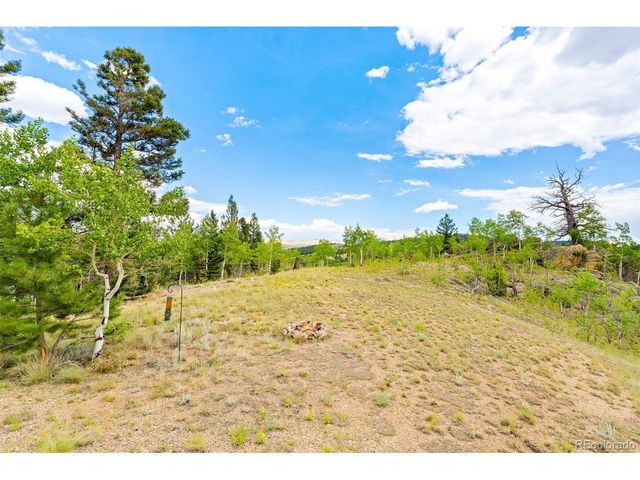 65 Riata Run, Hartsel, CO 80449