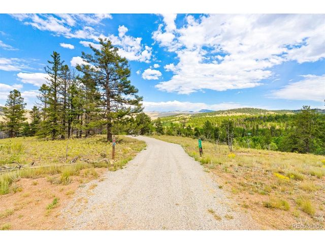 65 Riata Run, Hartsel, CO 80449