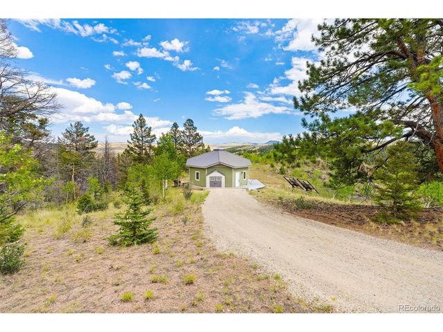65 Riata Run, Hartsel, CO 80449