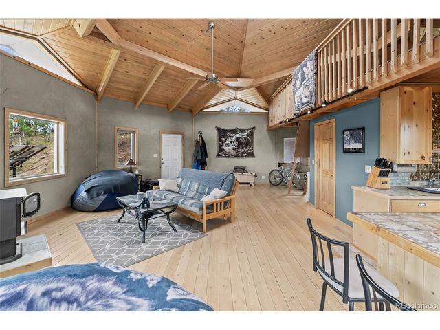 65 Riata Run, Hartsel, CO 80449