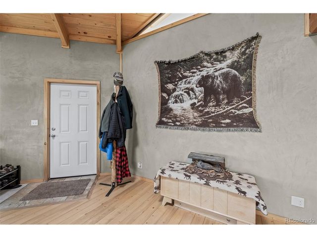 65 Riata Run, Hartsel, CO 80449