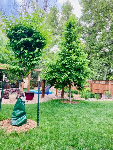 506 18th Avenue S, Fargo, ND 58103