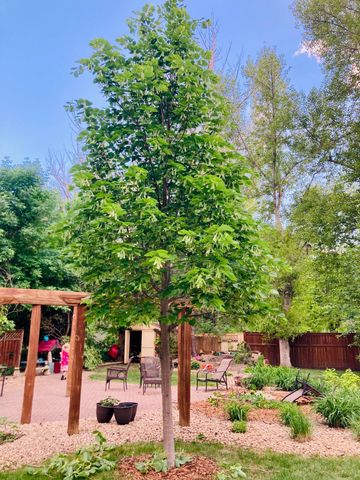 506 18th Avenue S, Fargo, ND 58103