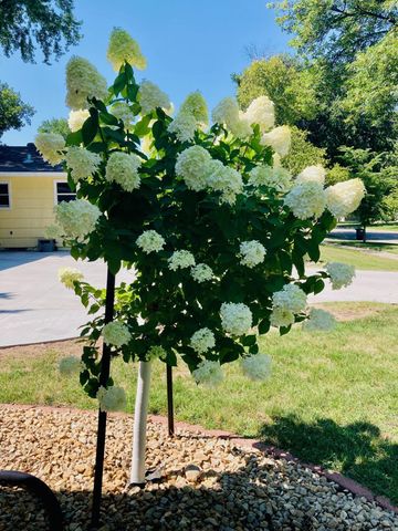 506 18th Avenue S, Fargo, ND 58103