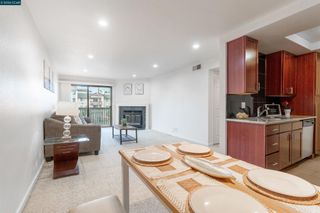 1315 1315 A St 206, Hayward, CA 94541