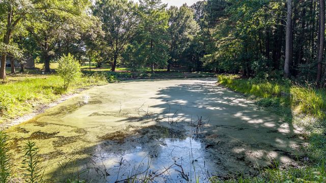 20388 County Road 150, Flint, TX 75762