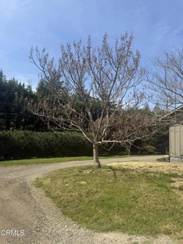 16875 Franklin Road, Fort Bragg, CA 95437