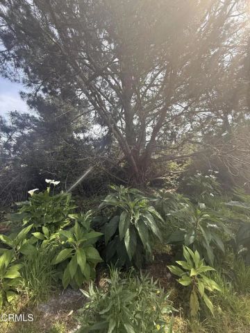 16875 Franklin Road, Fort Bragg, CA 95437