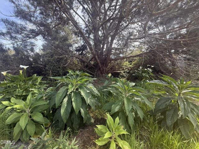 16875 Franklin Road, Fort Bragg, CA 95437