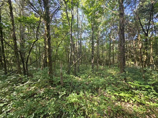1 Murfreesboro Road, Lebanon, TN 37090