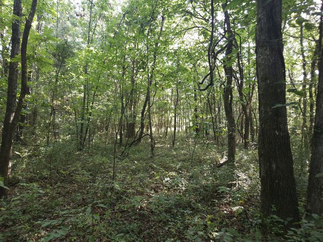 1 Murfreesboro Road, Lebanon, TN 37090