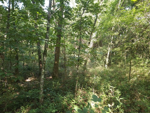 1 Murfreesboro Road, Lebanon, TN 37090
