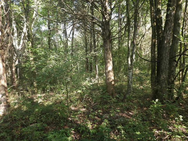1 Murfreesboro Road, Lebanon, TN 37090