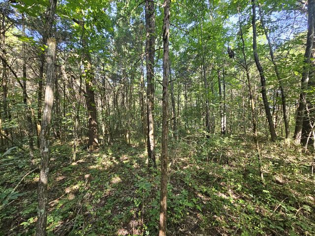 1 Murfreesboro Road, Lebanon, TN 37090