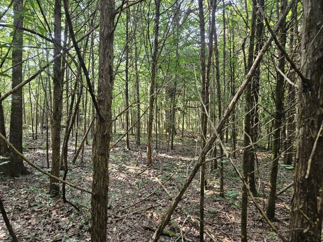 1 Murfreesboro Road, Lebanon, TN 37090