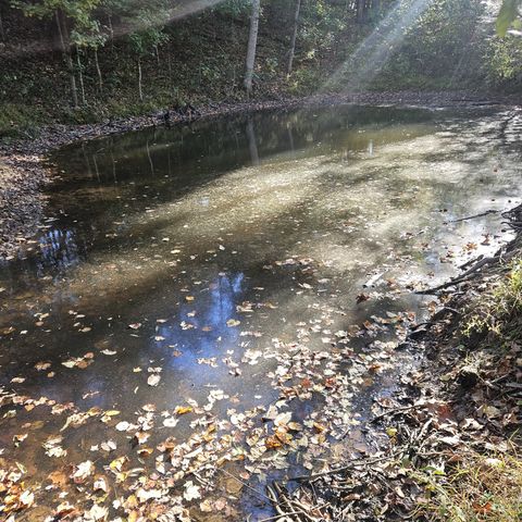 0 Luster Rd Tract 4, Goodlettsville, TN 37072