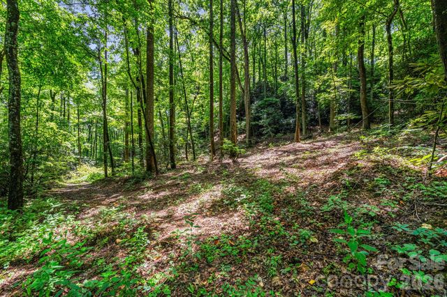 163 Camp Elliott Road, Black Mountain, NC 28711