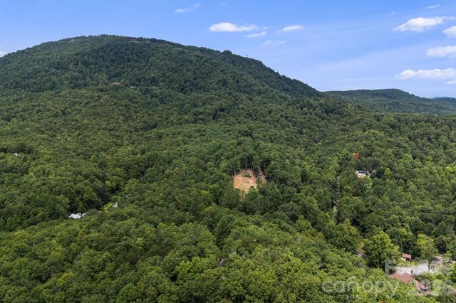 163 Camp Elliott Road, Black Mountain, NC 28711