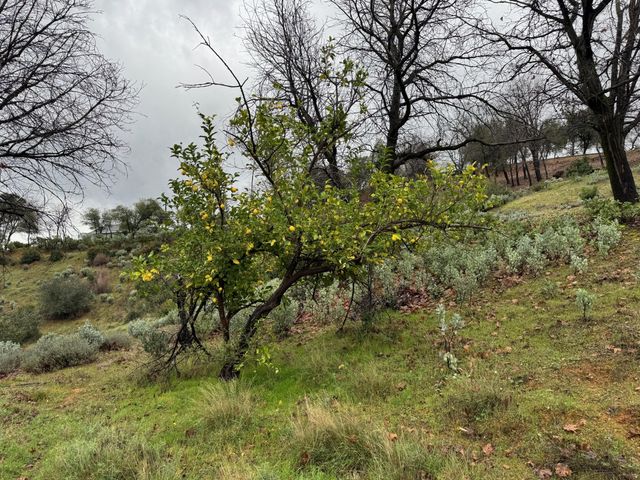 8664 Landmark Circle, Redding, CA 96001