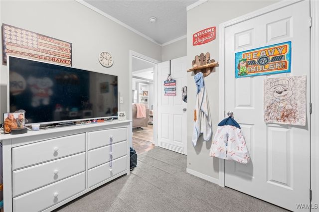 12368 Elrod Rd, Elrod, AL 35458