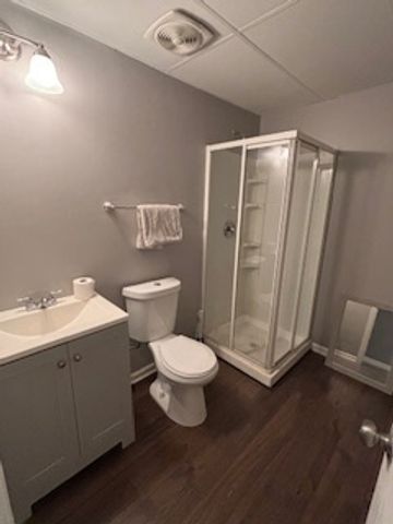 1709 Wick Way, Montgomery, IL 60538