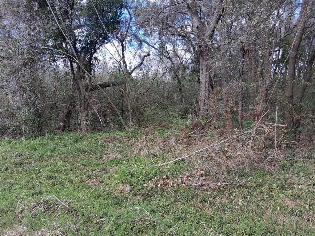 0 Lawson Rd Extension, Grand Bay, AL 36541 — photo 2