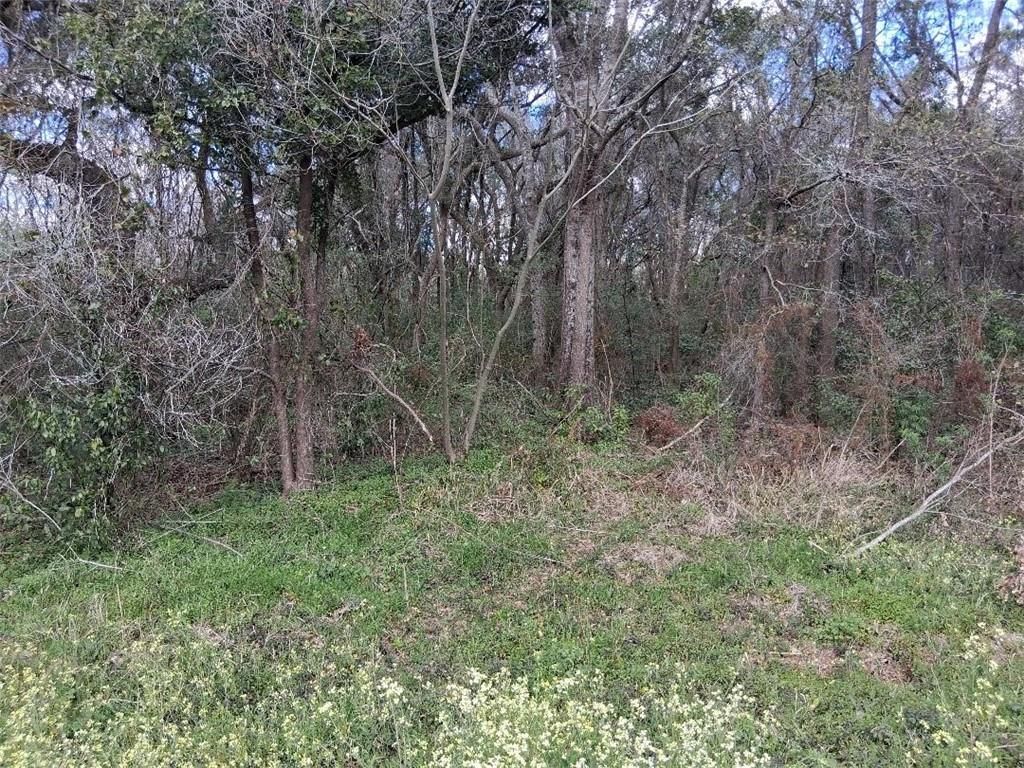 0 Lawson Rd Extension, Grand Bay, AL 36541 — photo 3