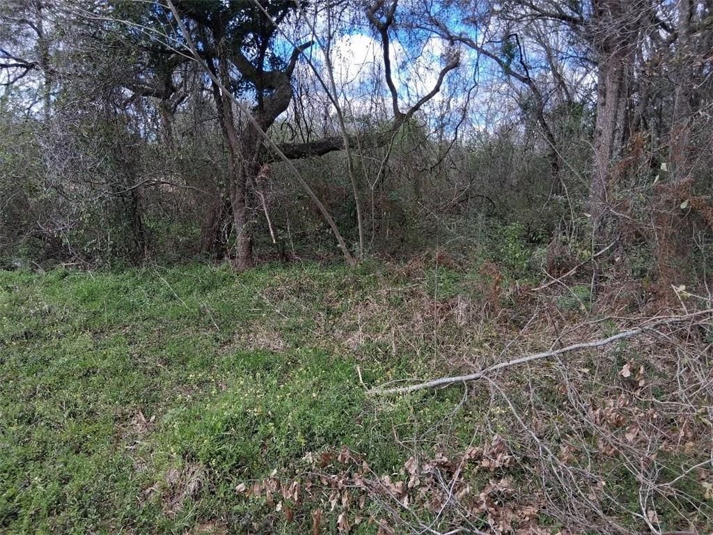 0 Lawson Rd Extension, Grand Bay, AL 36541 — photo 4