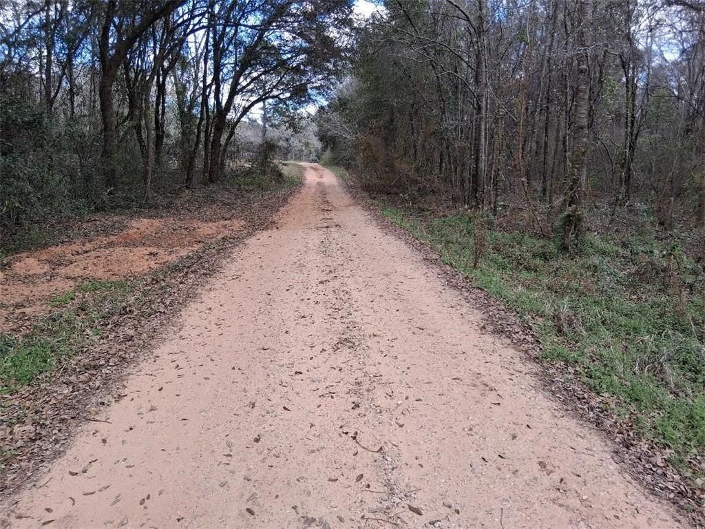0 Lawson Rd Extension, Grand Bay, AL 36541 — photo 5