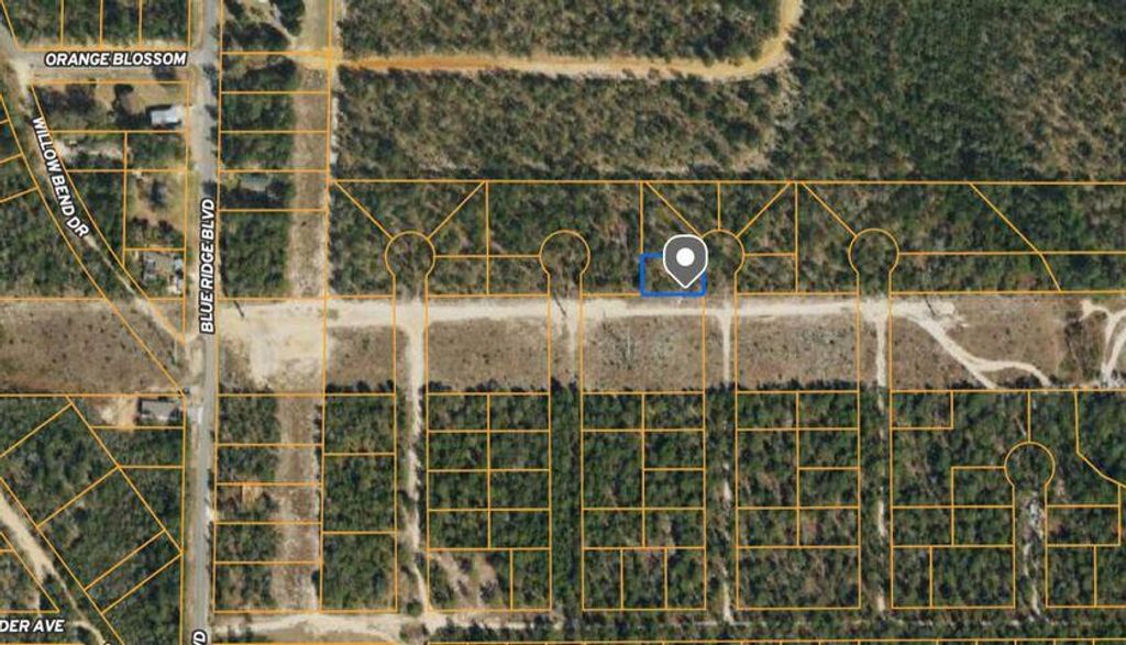 LOT 1 White Spruce Lane, Mossy Head, FL 32434