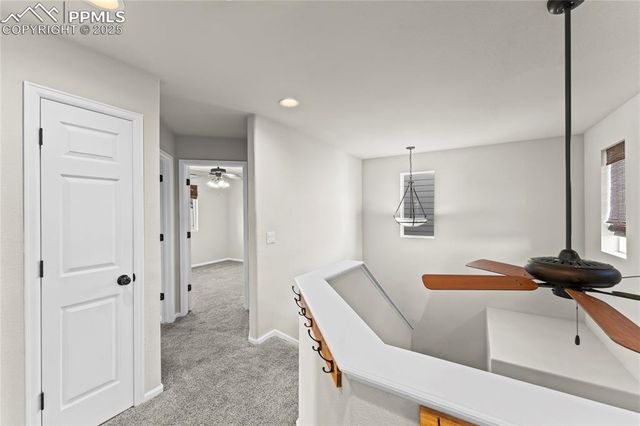 11508 Black Maple Lane, Colorado Springs, CO 80921