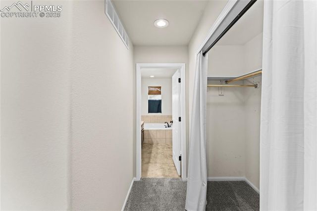 11508 Black Maple Lane, Colorado Springs, CO 80921